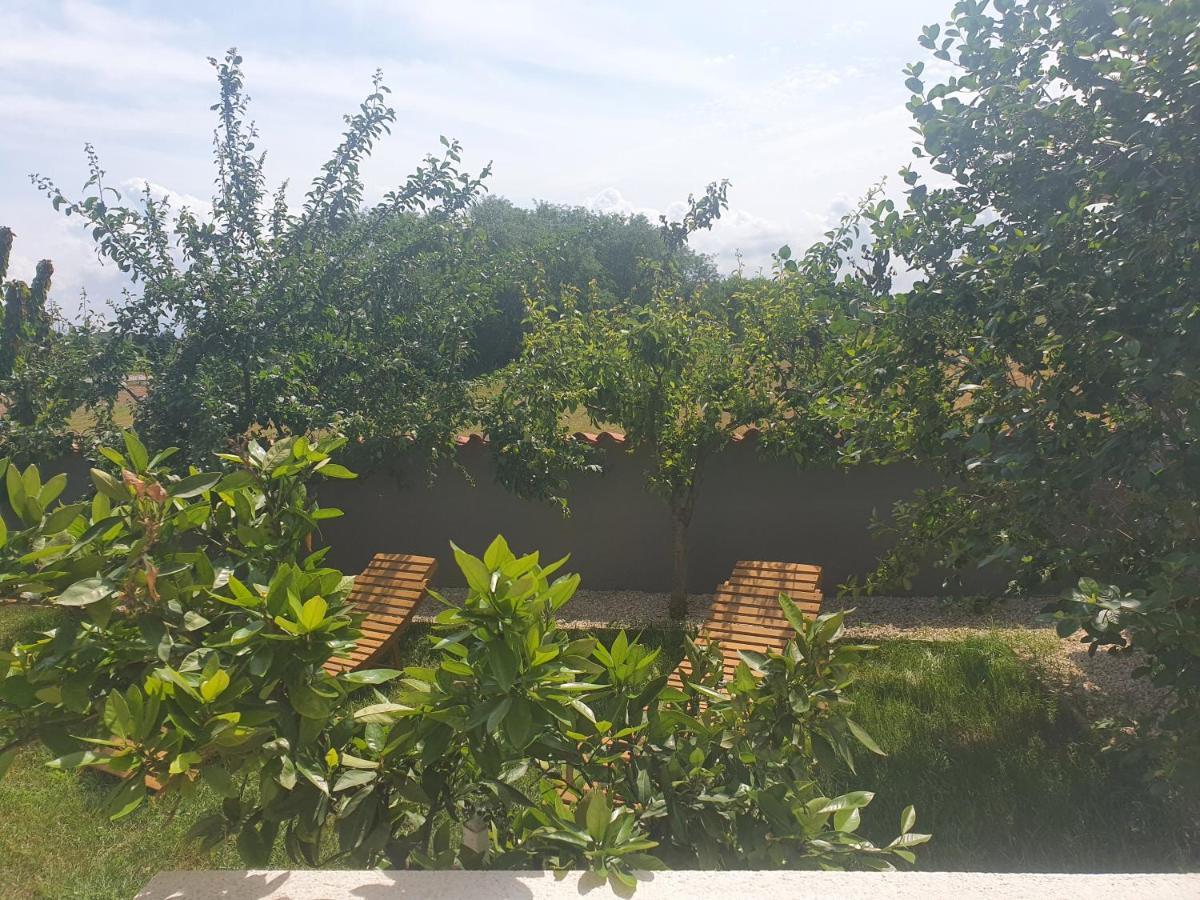 Villa Ancora Savudrija Exteriér fotografie