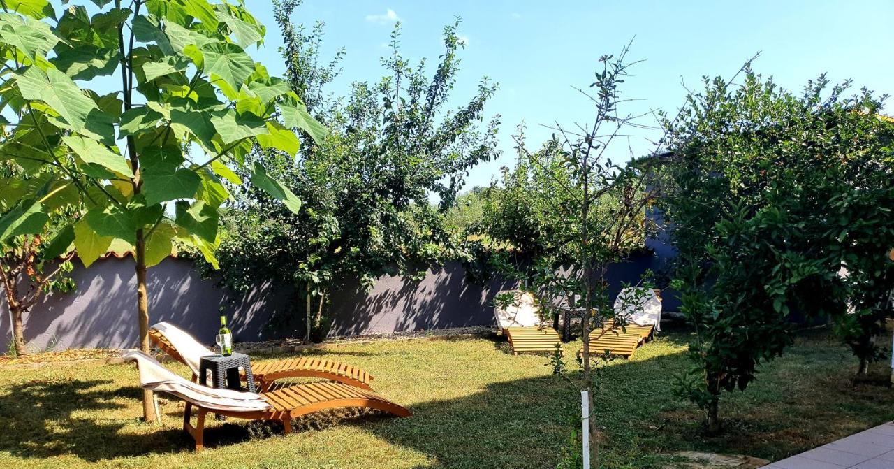 Villa Ancora Savudrija Exteriér fotografie